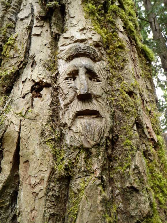 These 19 tree carvings will amaze you and 16 might look vaguely