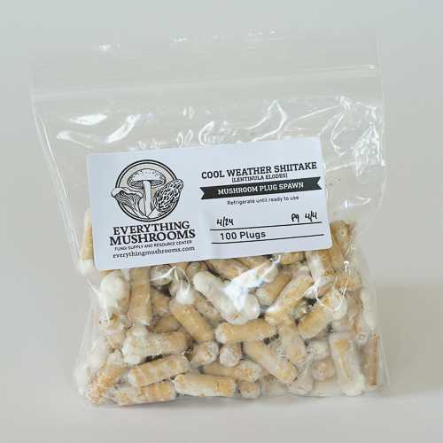 Plug Spawn Pack Shiitake Mushroom, Cool Weather, Lentinula edodes 100 plugs Everything