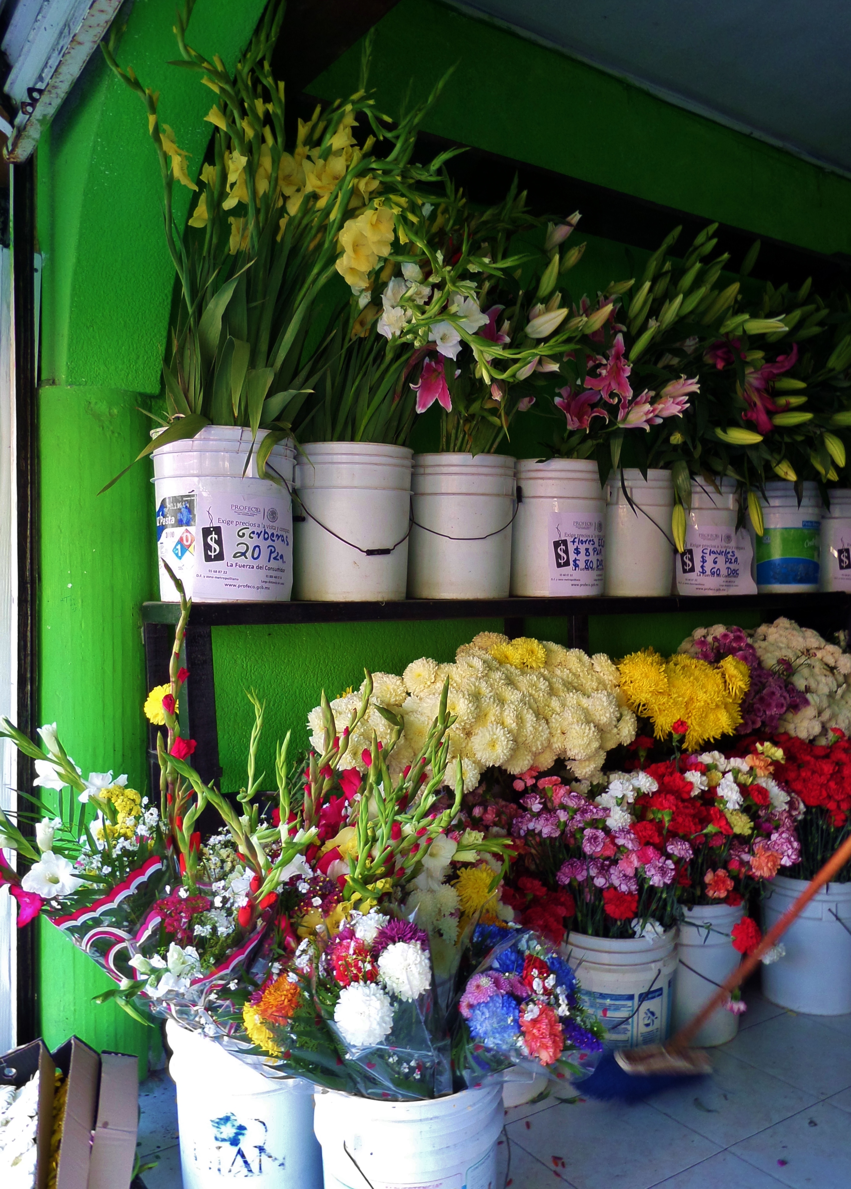 Buying Flowers in Playa Del Carmen Everything Playa Del Carmen