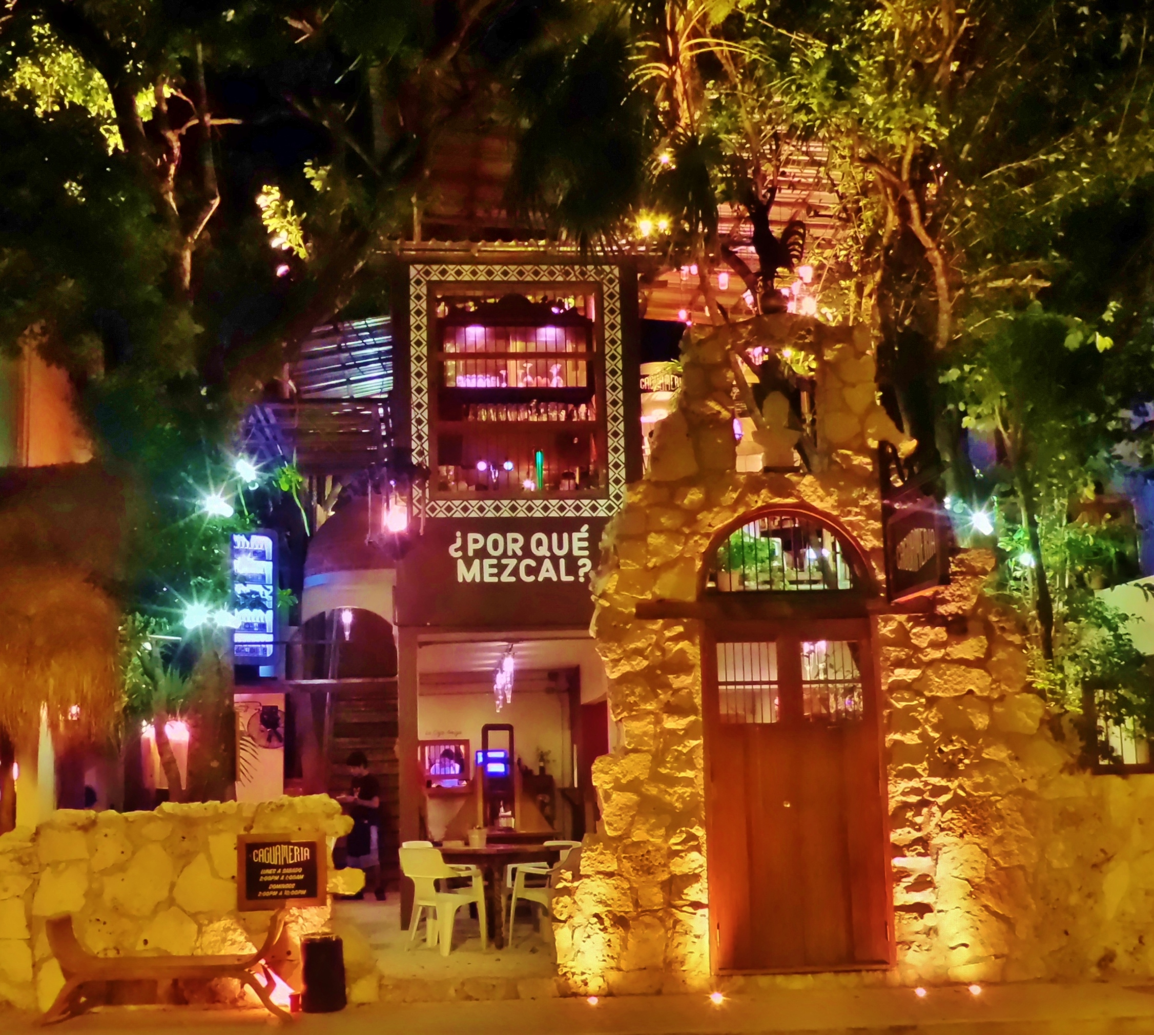 What Happens in Playa Del Carmen at NightGallery Everything Playa