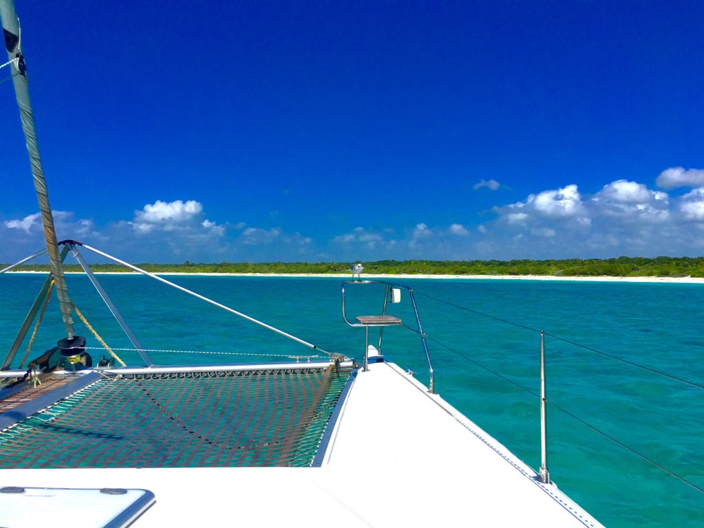 What is the Fat Cat Catamaran tour like? Our review