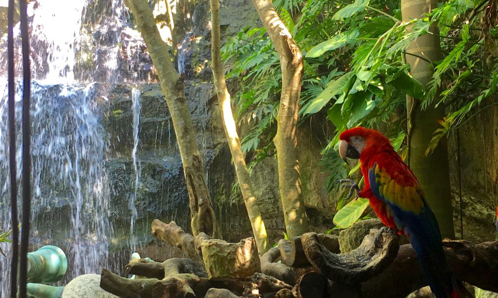 What is Xenses Park like? Our video and review Everything Playa Del Carmen