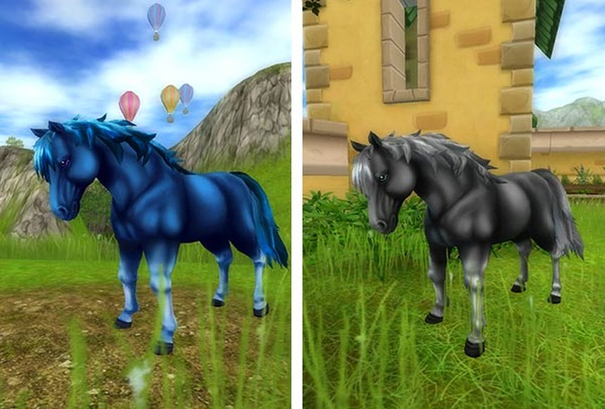 Jorvik Wild Horse Everything Star Stable
