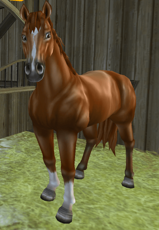 English Thoroughbred Everything Star Stable