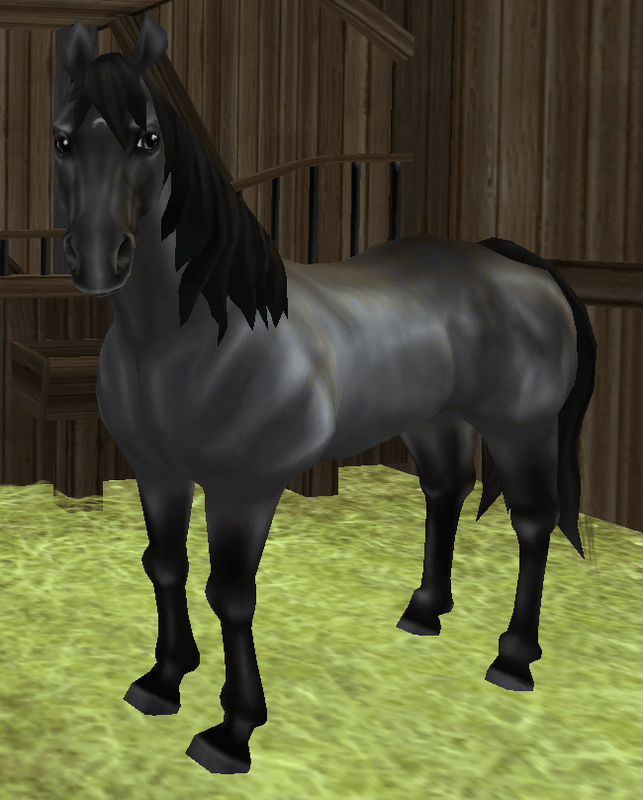 American Quarter Horse Everything Star Stable