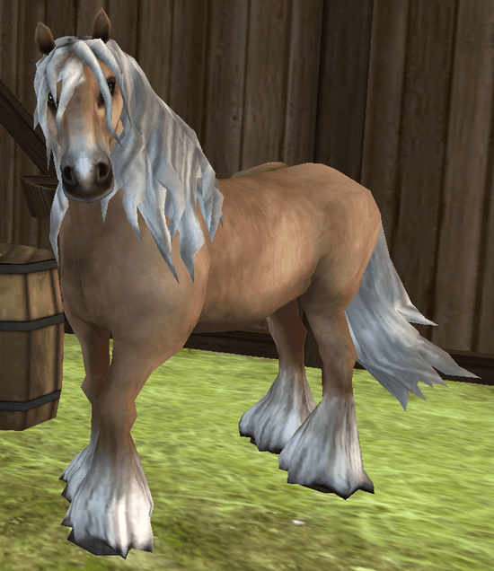 North Swedish Horse Everything Star Stable