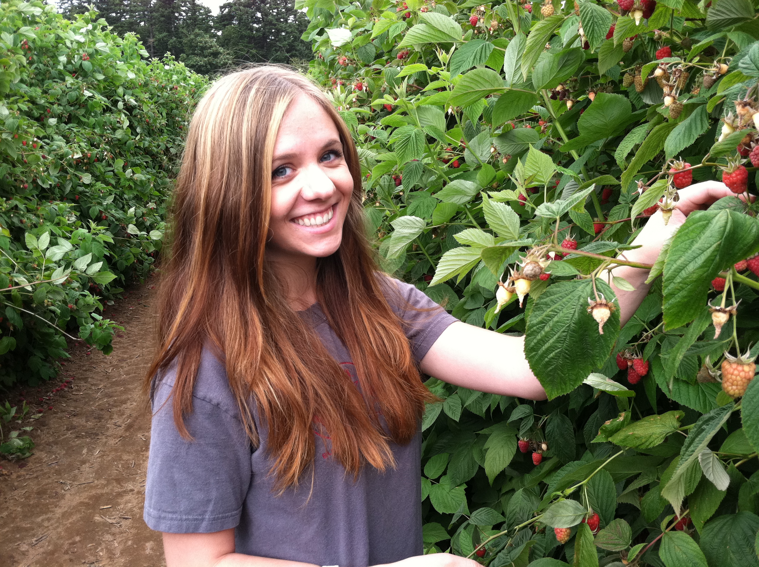 Berry Picking Excursion Amounts To Hours Of Silent Unpaid Labor The