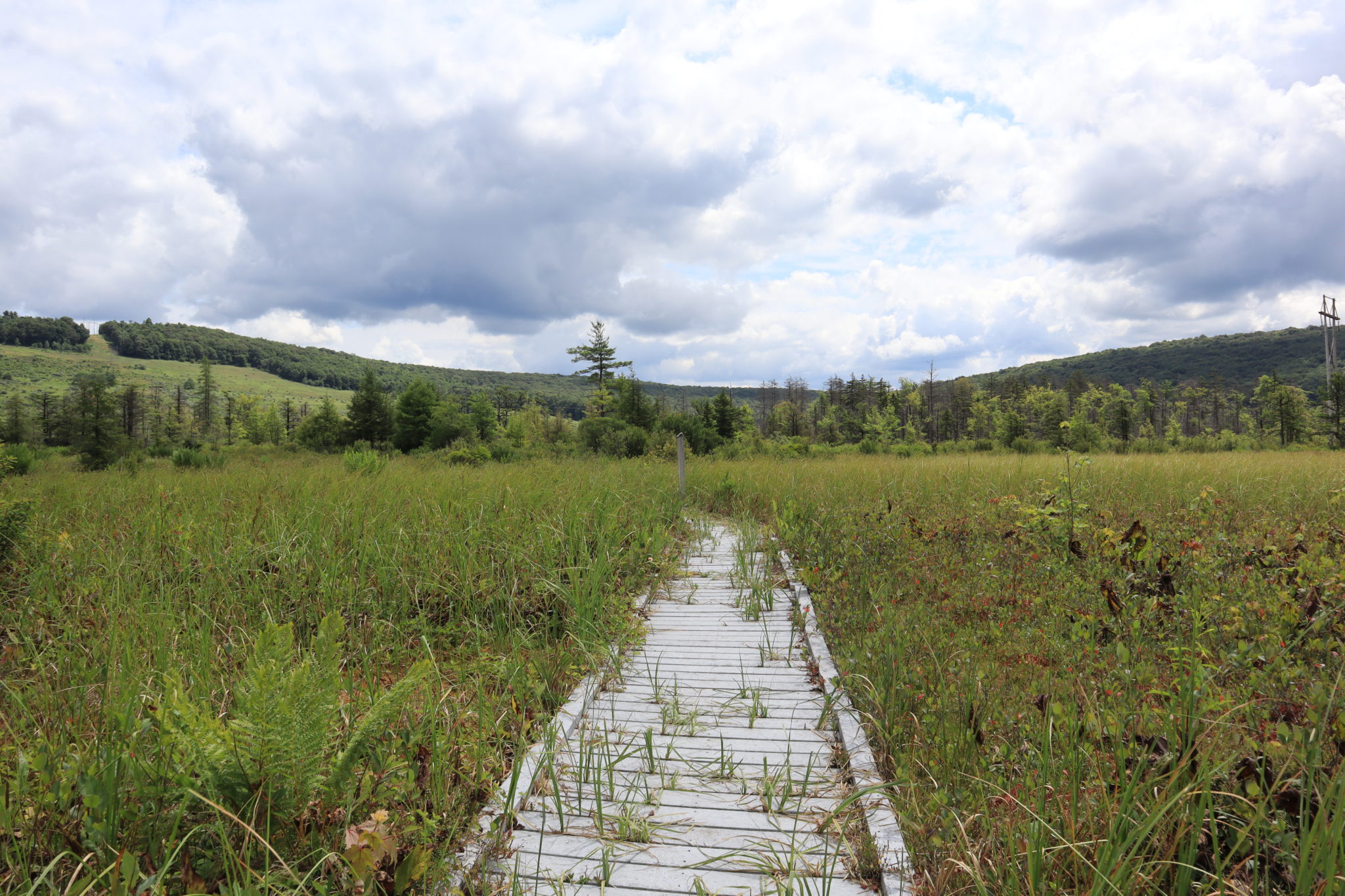 Cranesville Swamp, Deep Crek Maryland Weekend getaway Everywhere Forward