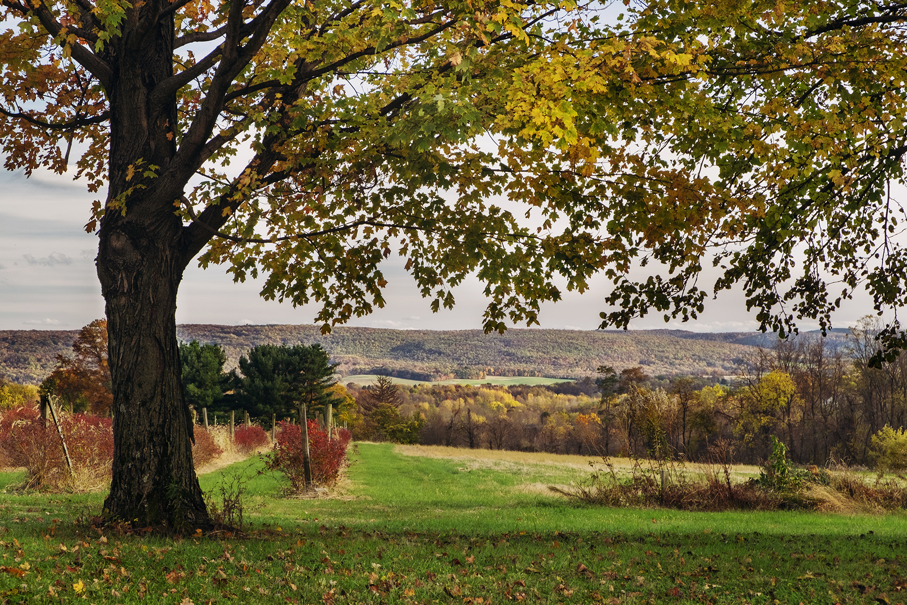 Best Fall Things to Do in Westmoreland County, PA Everywhere Forward