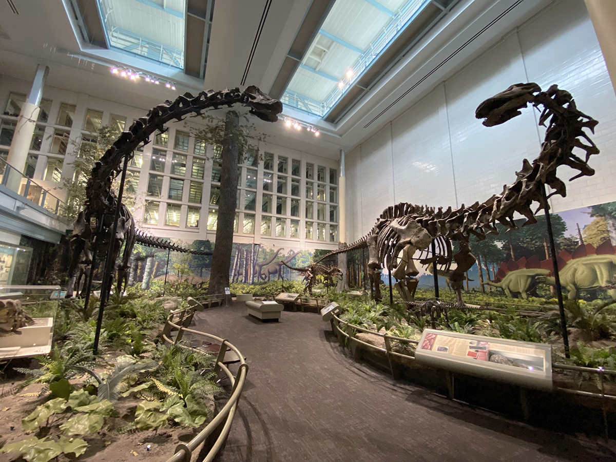 Guide to the Best Museums in Pittsburgh Everywhere Forward