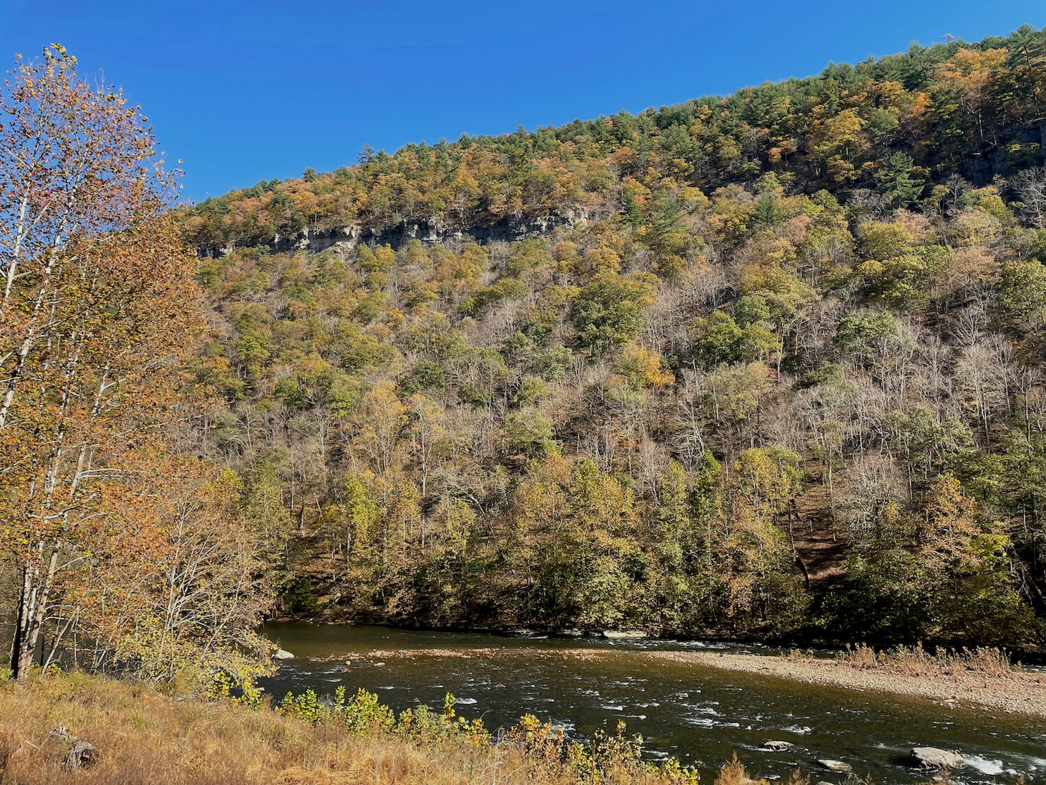 Best Places to See Fall Foliage in West Virginia Everywhere Forward