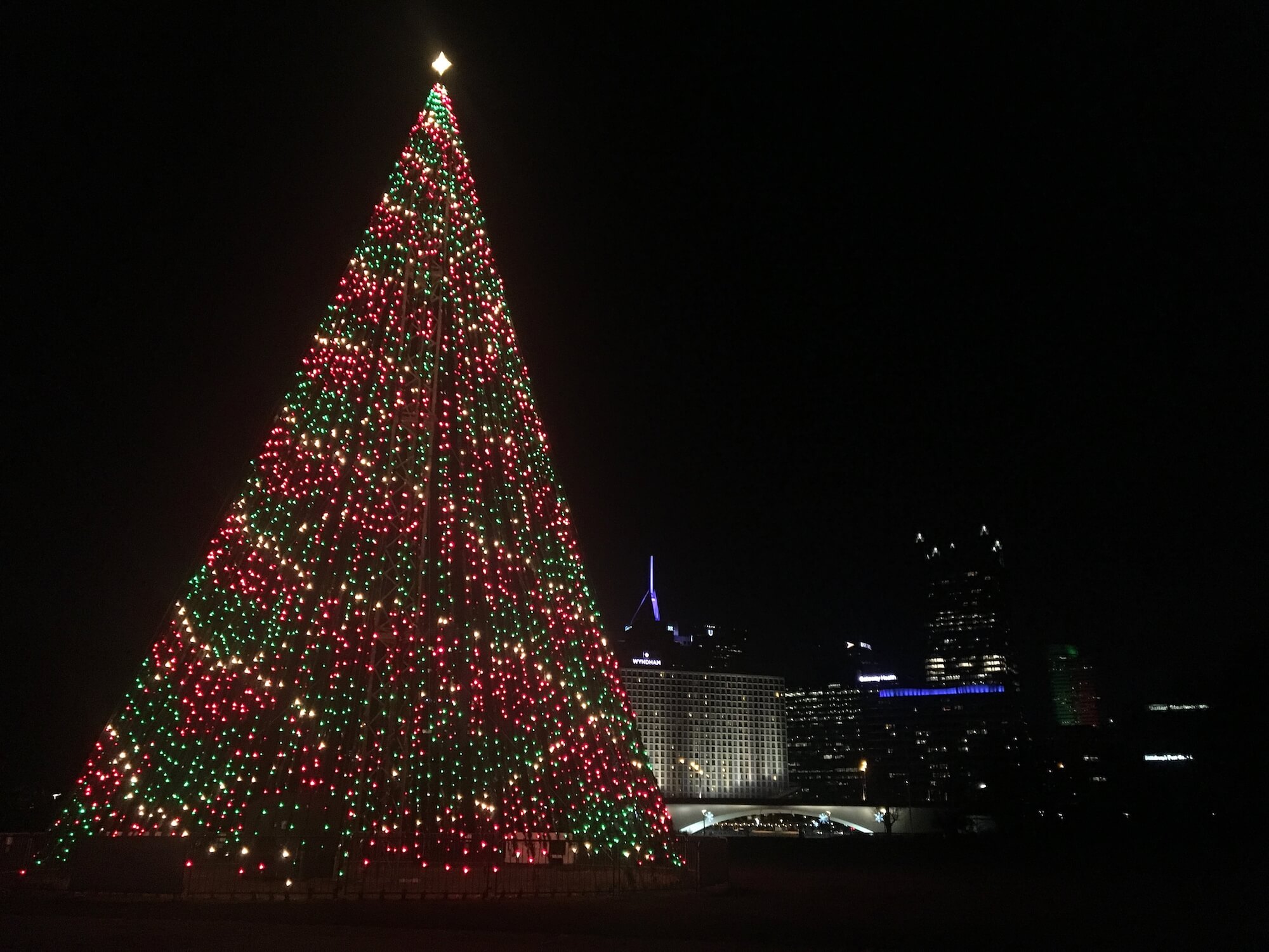 ChristmasTreeatthePoint Everywhere Forward