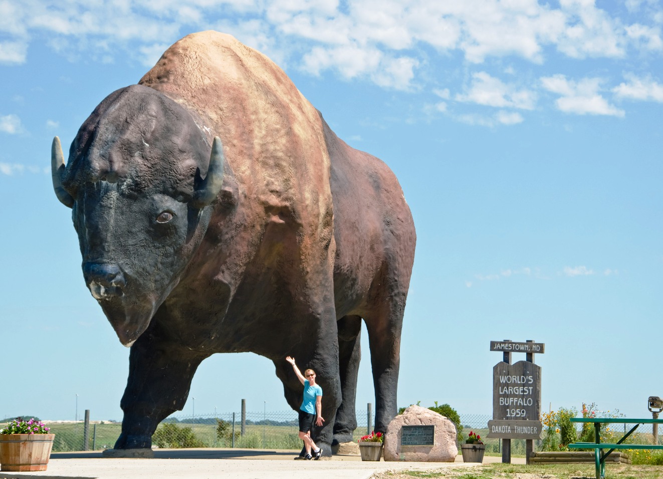 Incredible Buffalo Sculpture in North Dakota r/pics