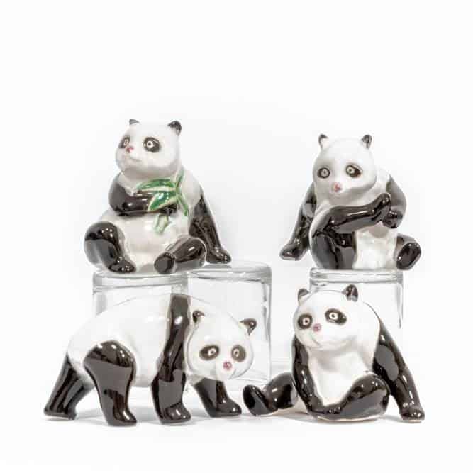 Bonsai Accessories Eve's Garden Promotional Gifts