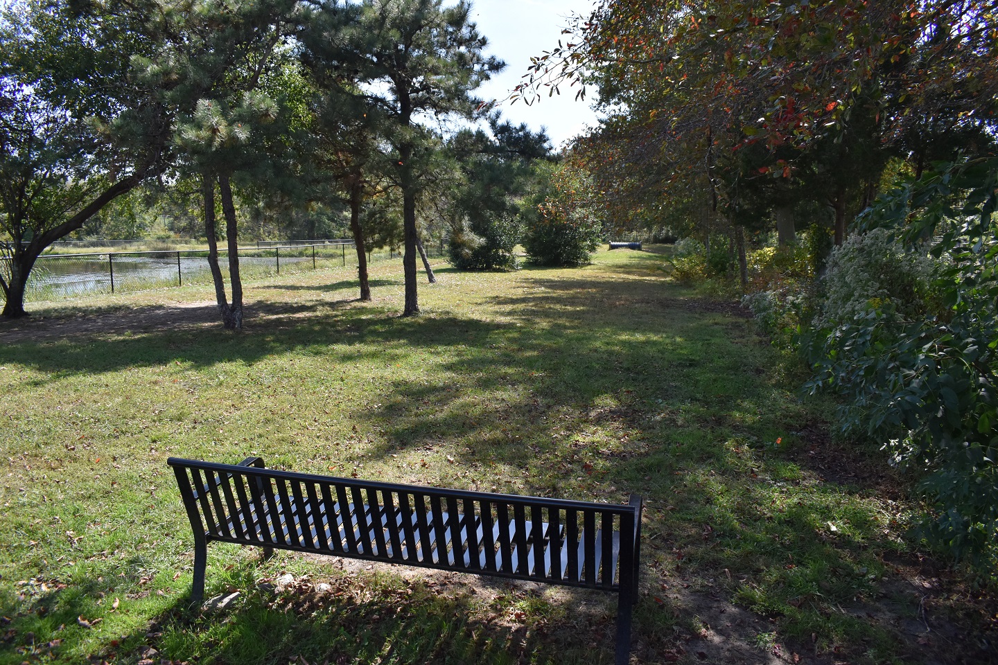 Evesham Township, New Jersey Dog Park