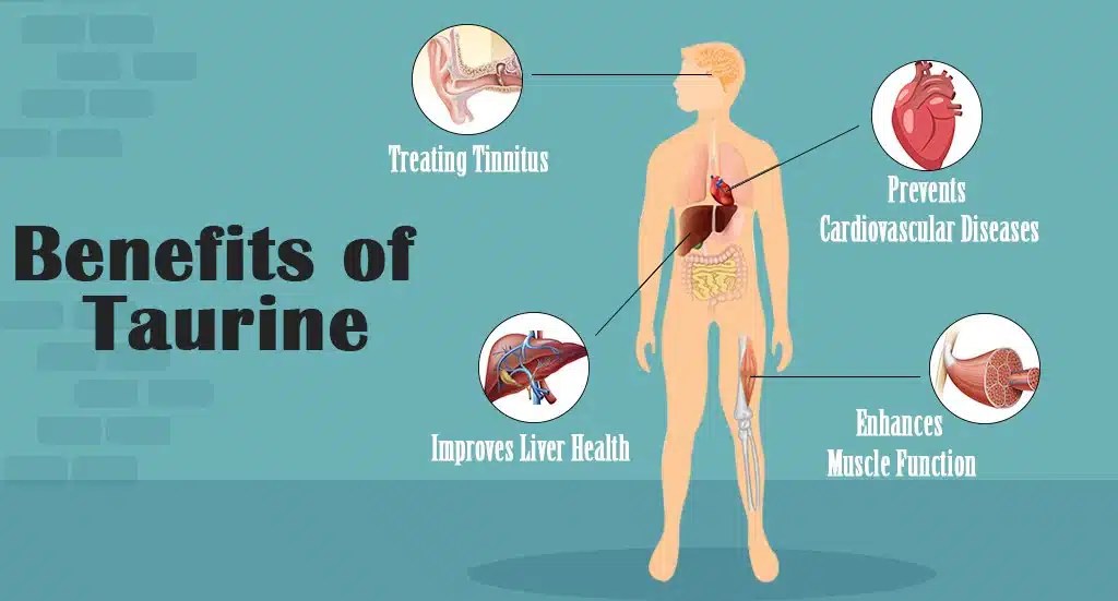 Taurine Exploring the Latest Promising Results of the AntiAging
