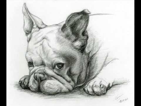 красивые картинки с нарисованными цветами