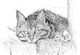 красивые картинки с нарисованными цветами