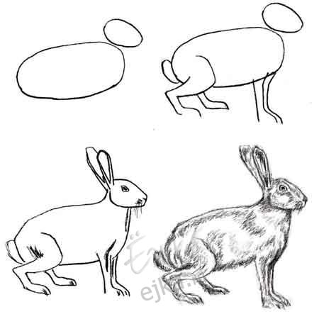 красивые картинки с нарисованными цветами