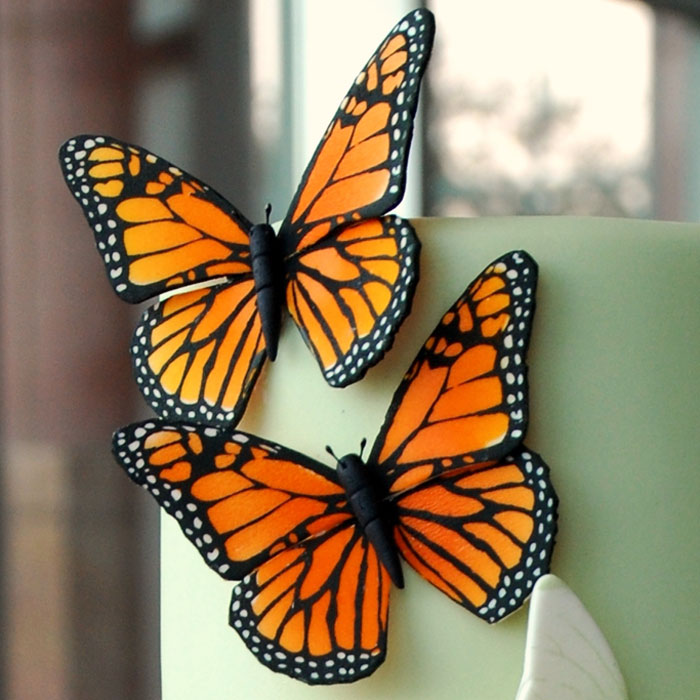 Stencils For Cakes Stencils Evil Cake Genius