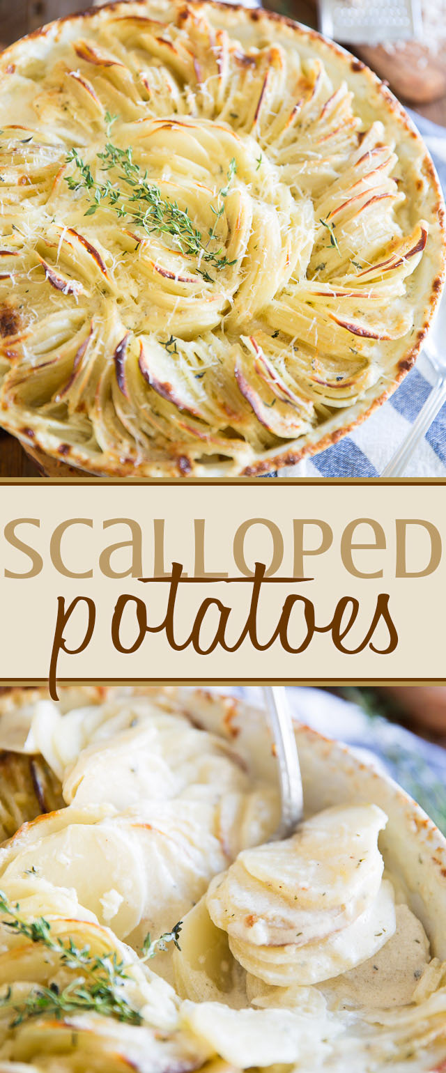 Hasselback Scalloped Potatoes • My Evil Twin's Kitchen