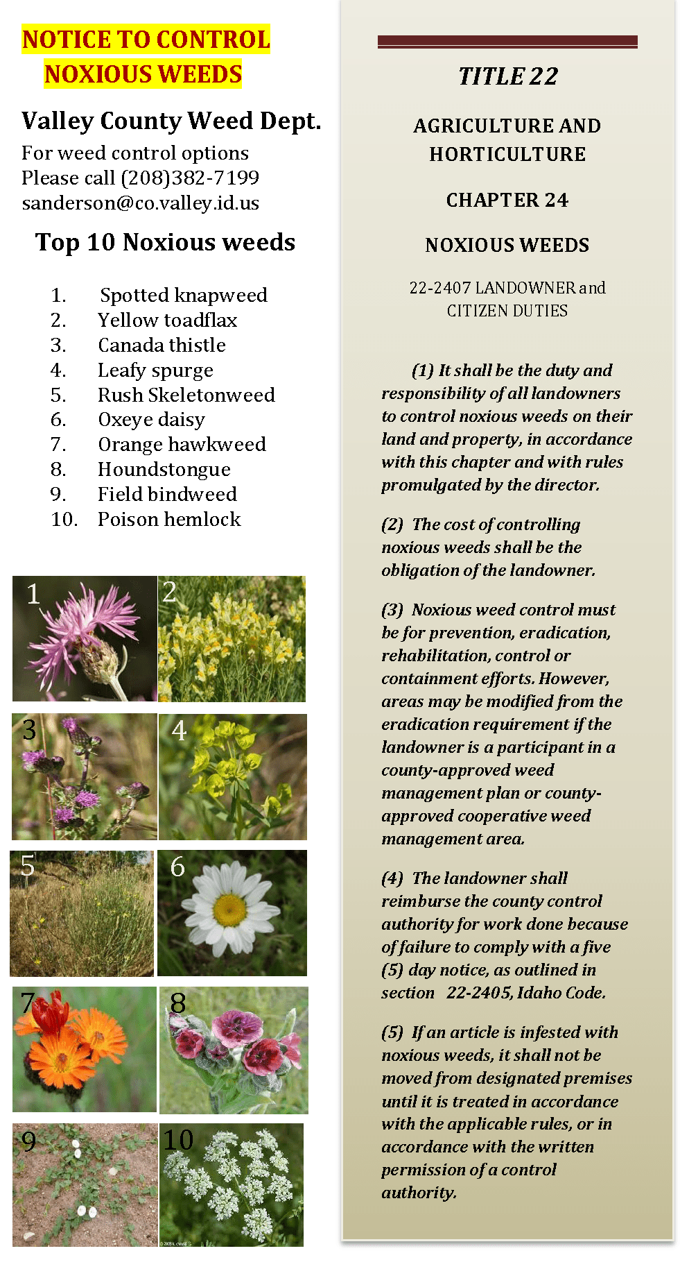 Official site of McCall, Idaho Noxious Weeds