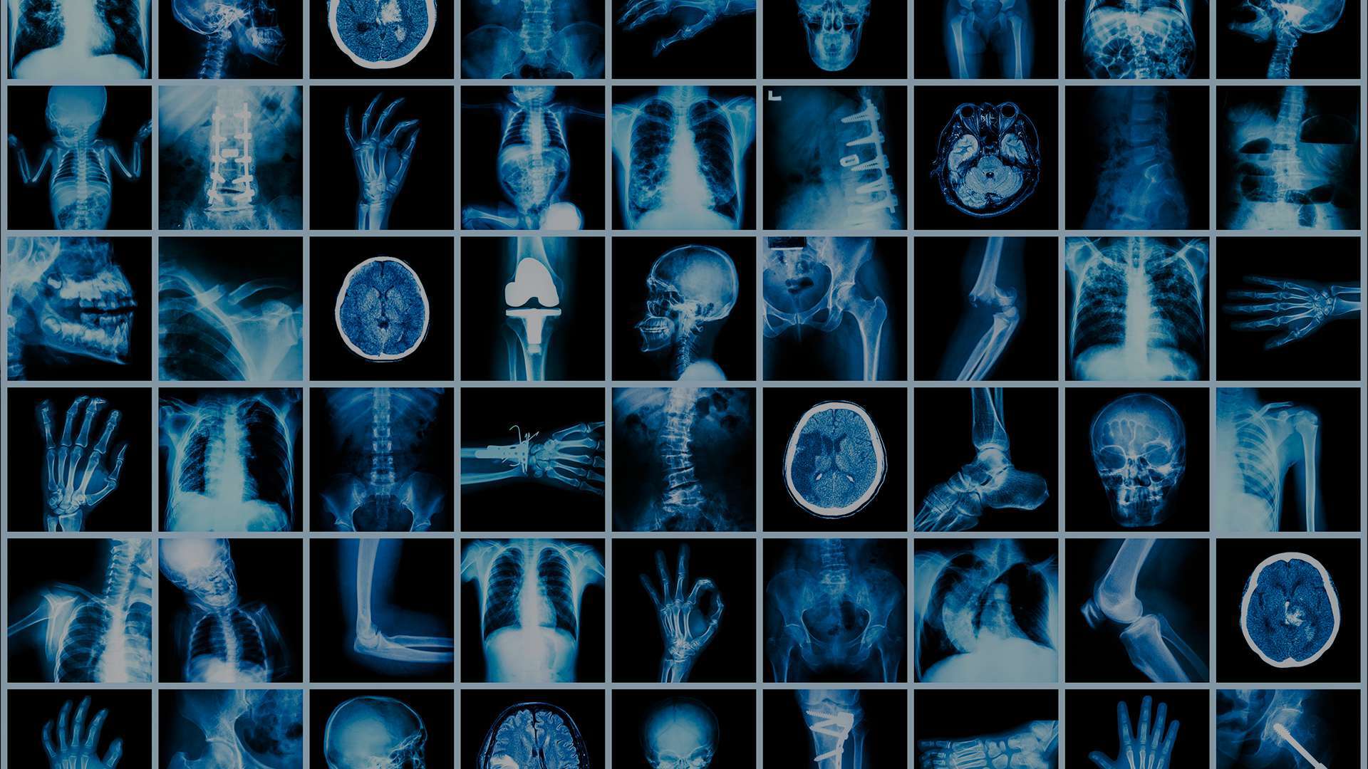 Orlando Orthopaedic Intro Evok Advertising