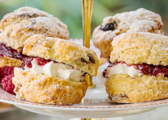 AVOCA Afternoon Tea Has Just Launched!