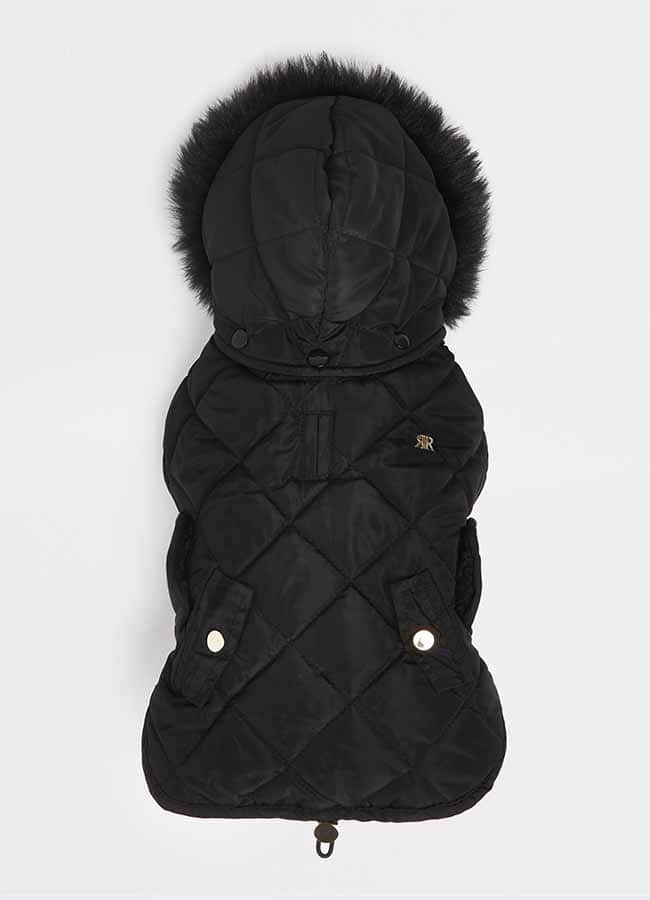 Winter Walkies! River Island Launches Adorable Dog Range