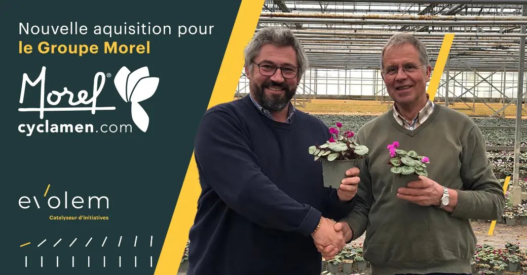 Nouvelle acquisition pour le Groupe MOREL DIFFUSION CYCLAMEN MOREL