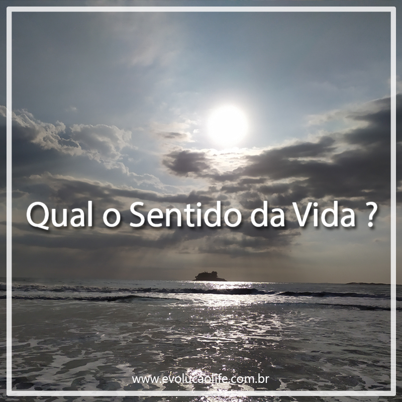 Qual o Sentido da Vida ? Evolução Life
