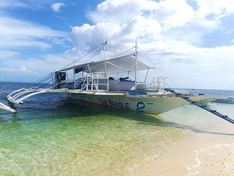 beaglediveboatevolutiondivingresortmalapascua Evolution Diving
