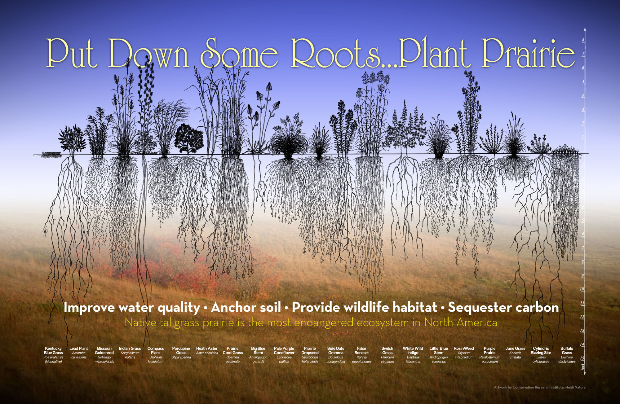 Grasses and Climate Change EarthHome Evolution