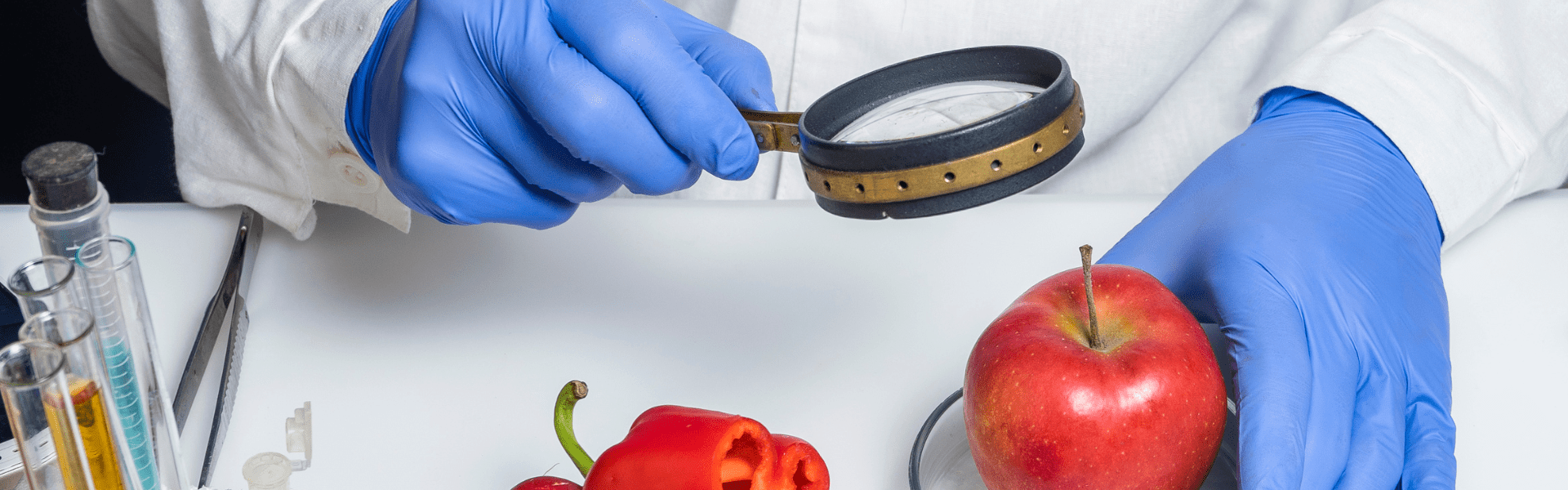 Food Safety Supervisor Course NSW Get Certified Today