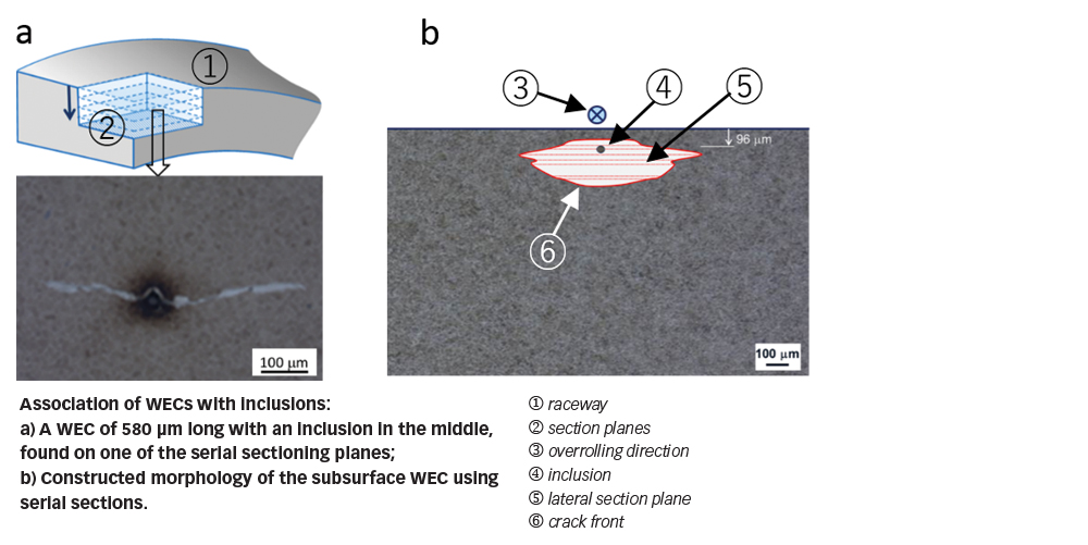 A better understanding of material imperfections Evolution Online
