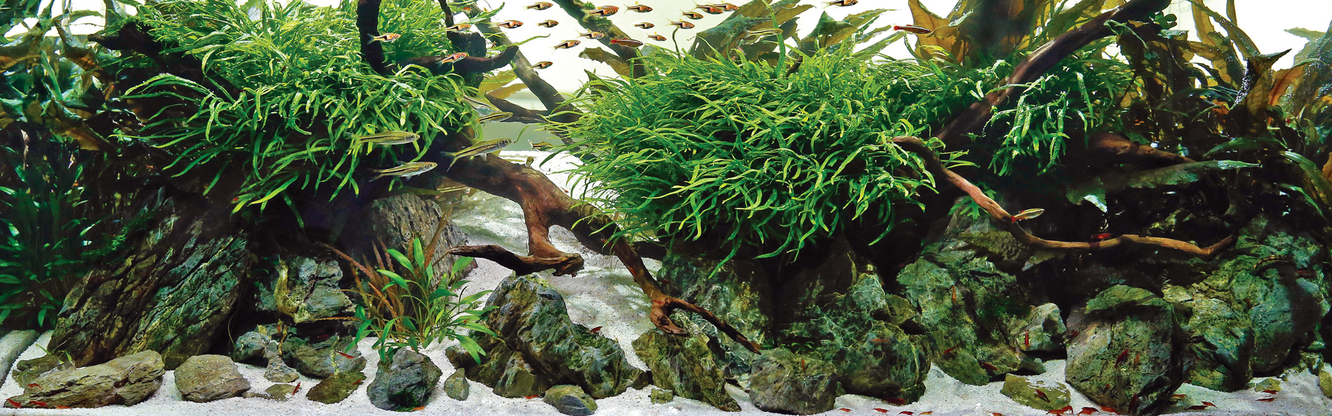 FAQS Aquascaper Complete Liquid Plant food