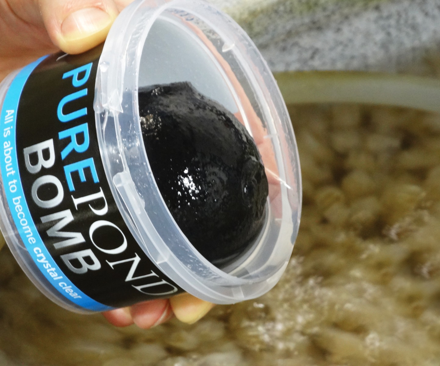 Does PURE really work?