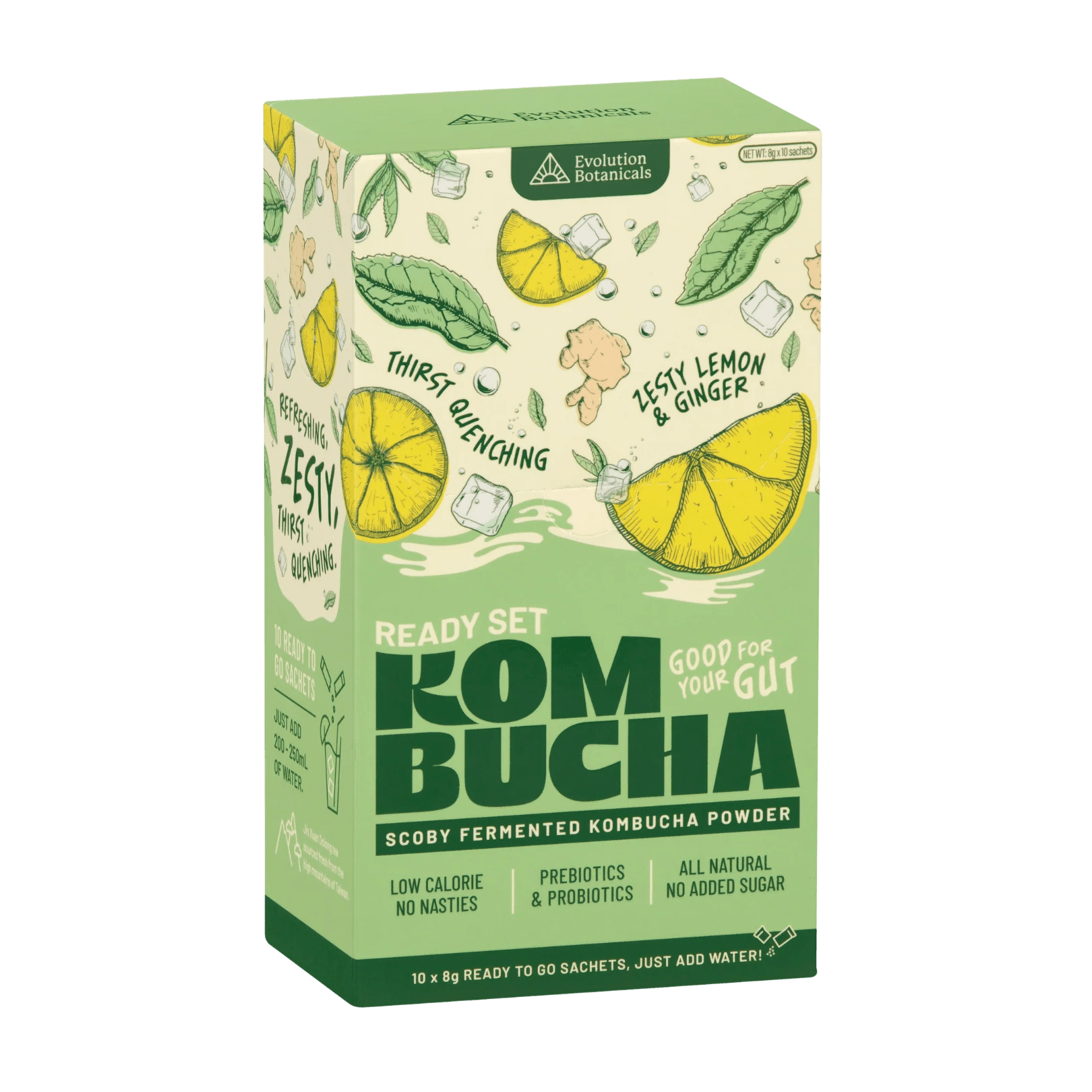 Ready Set Kombucha Evolution Botanicals
