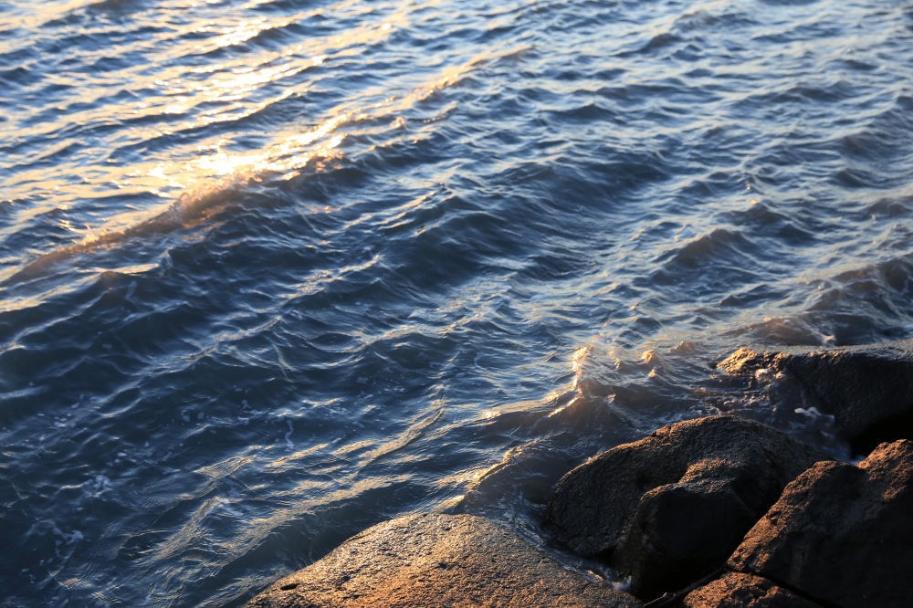 Example Of Fortune Telling Evolution Counseling