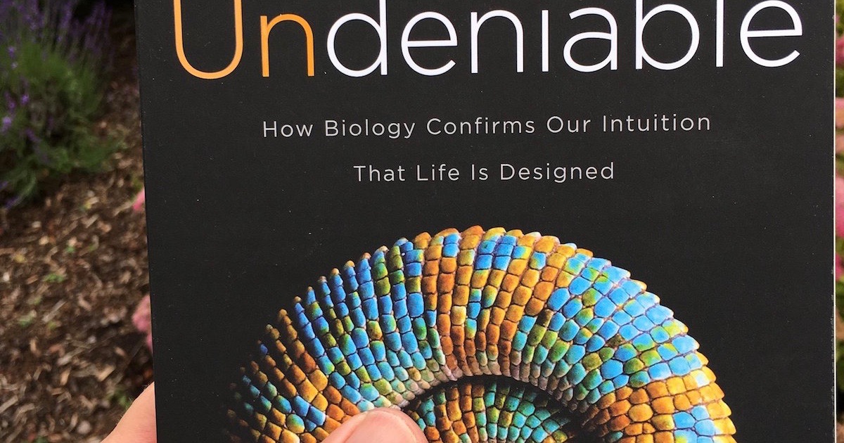 As Undeniable Debuts in Paperback, Frontiers in Biology Demonstrate Axe