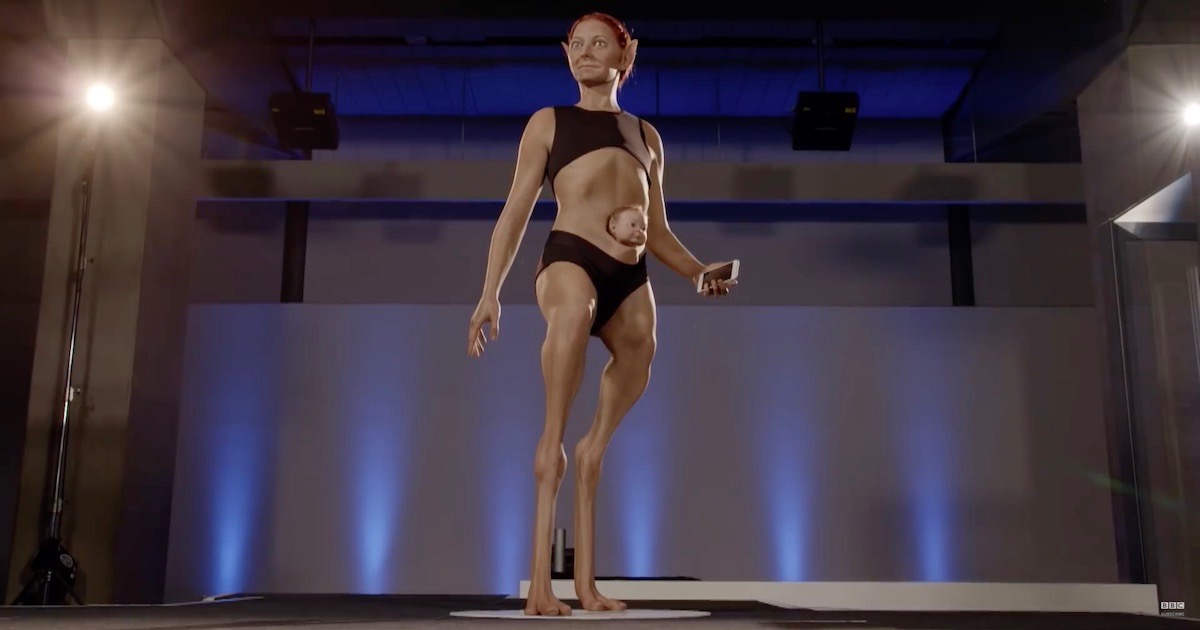 What Is The Perfect Human Socrates Quote The Perfect Human Being Is