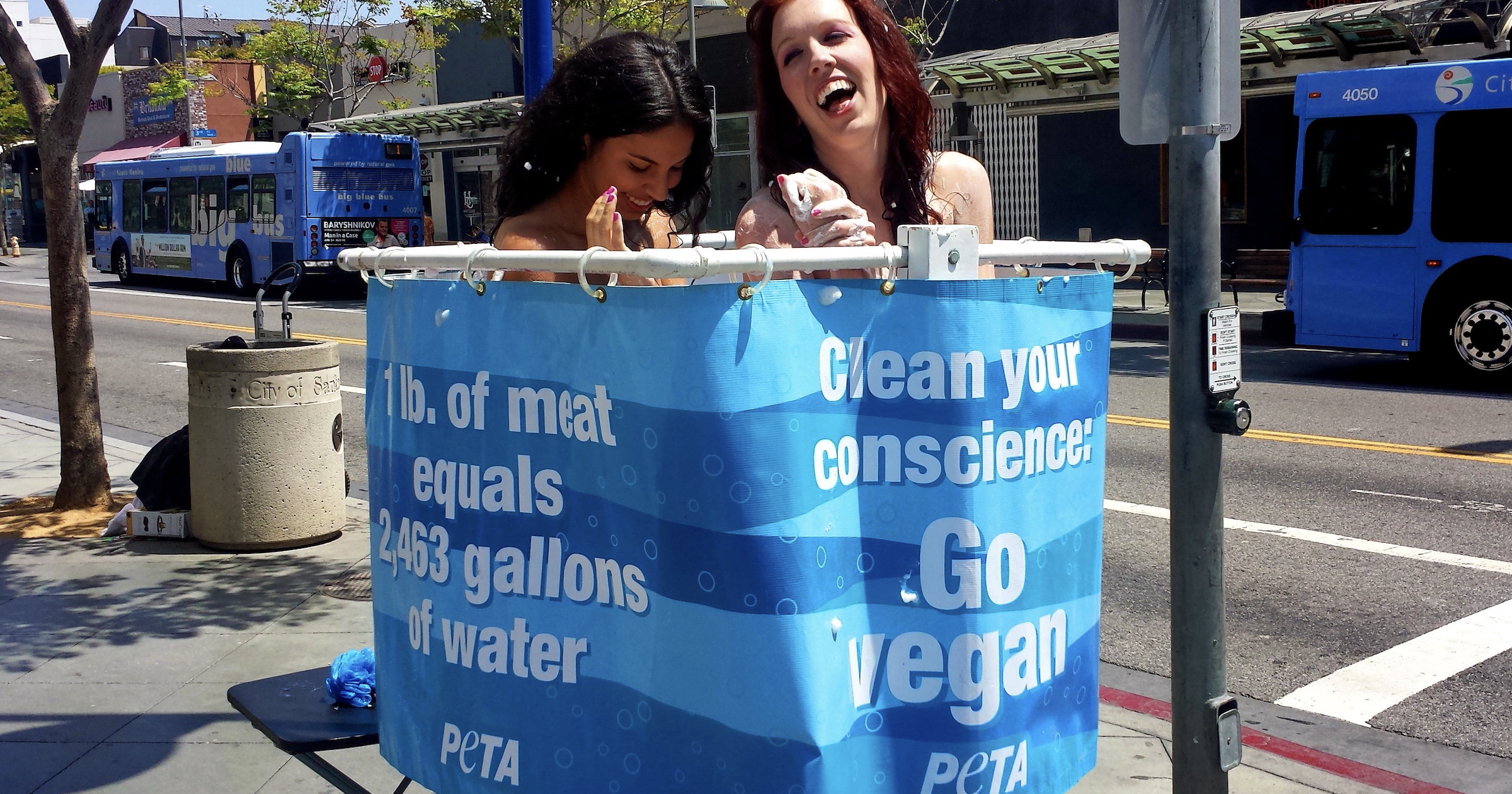 PETA Wrong Again Milk Is Good for Your Heart Evolution News