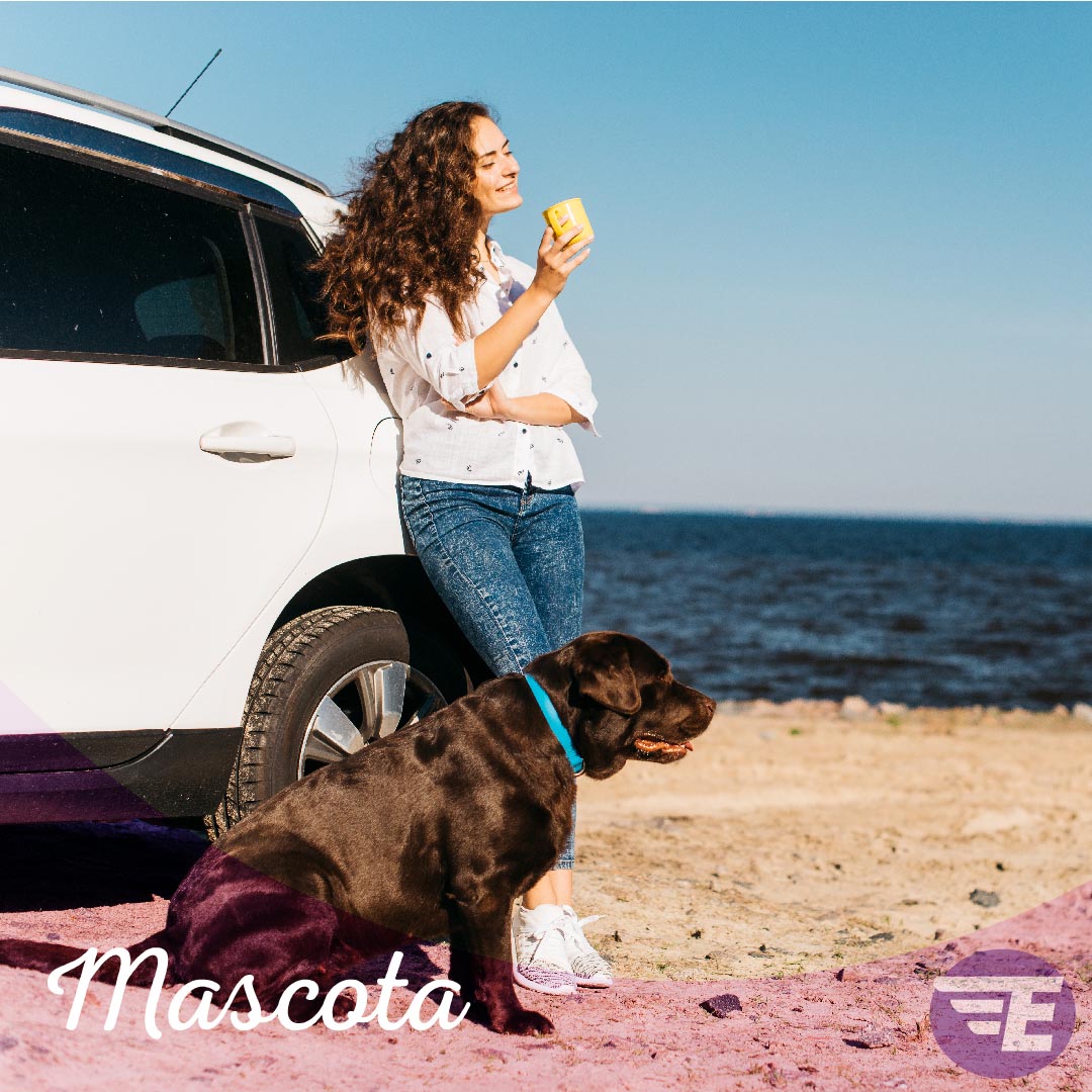 Renta de Carros en Aeropuerto de Cartagena Evolution Rent a Car