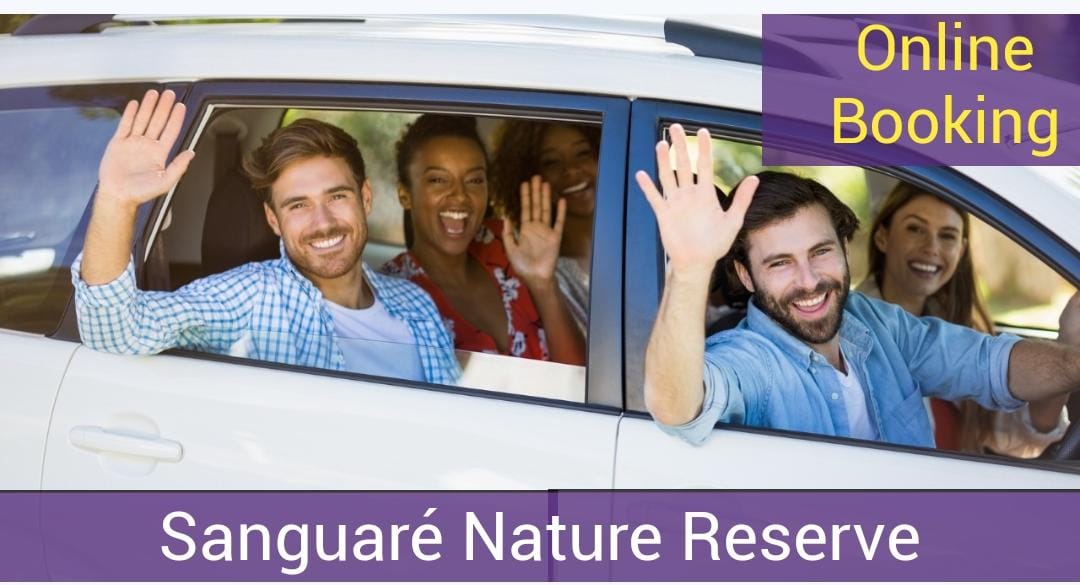 Car rental en Colombia Alquiler de Carro en Cartagena