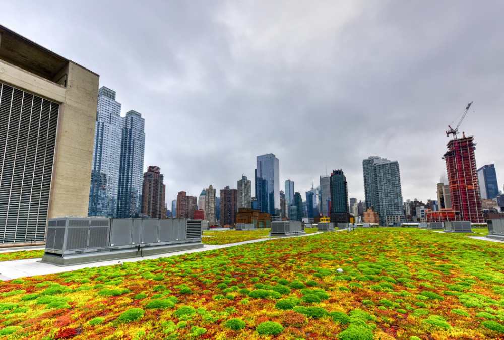 Understanding LL92 & LL94 NYC Sustainable Roof Requirements