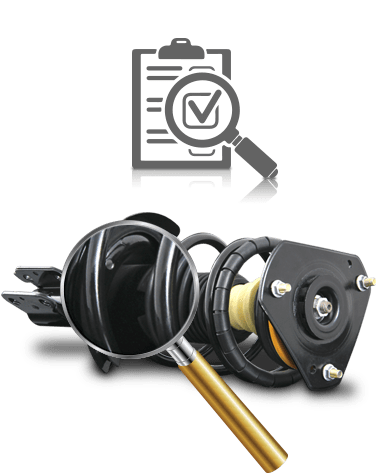 Strut Assemblies - Evolution | Shocks & Struts