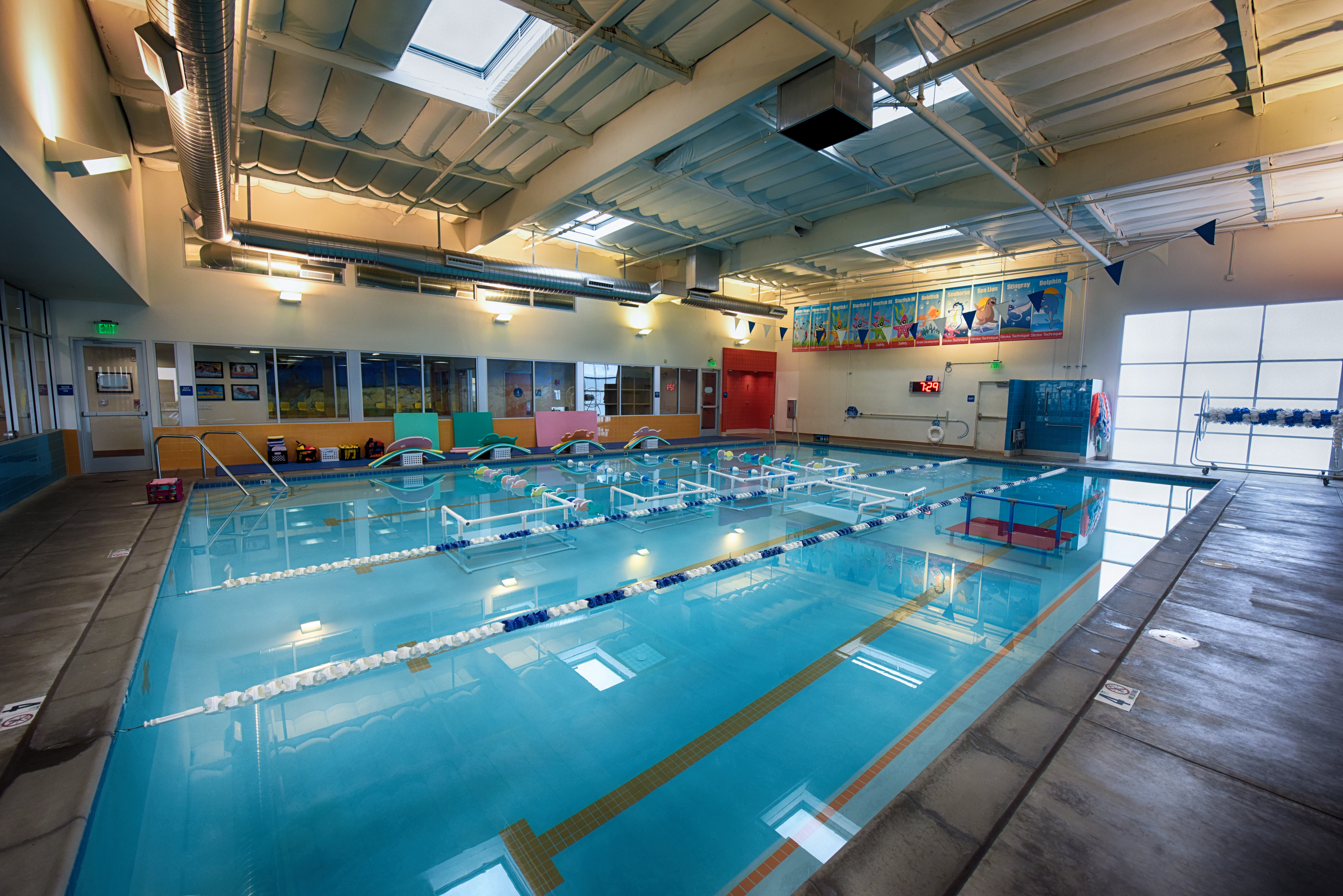 Chlorine Good or bad for our swimmers? Evolution Swim