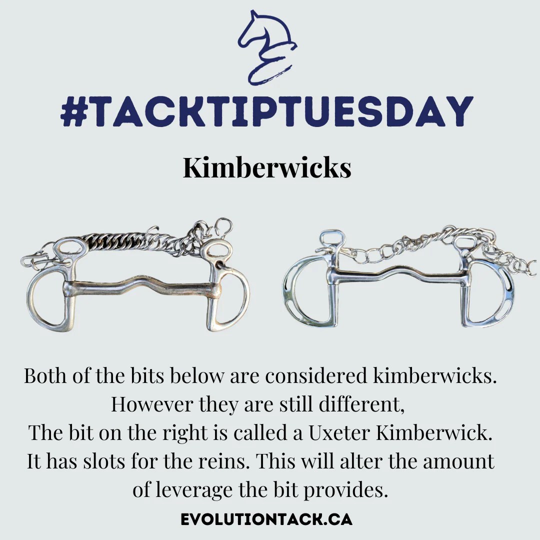The Kimberwick Bit Evolution Equestrian Co.