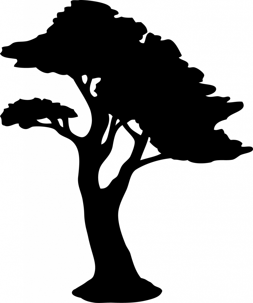 GTA Tree Care Services Evolution Tree Care