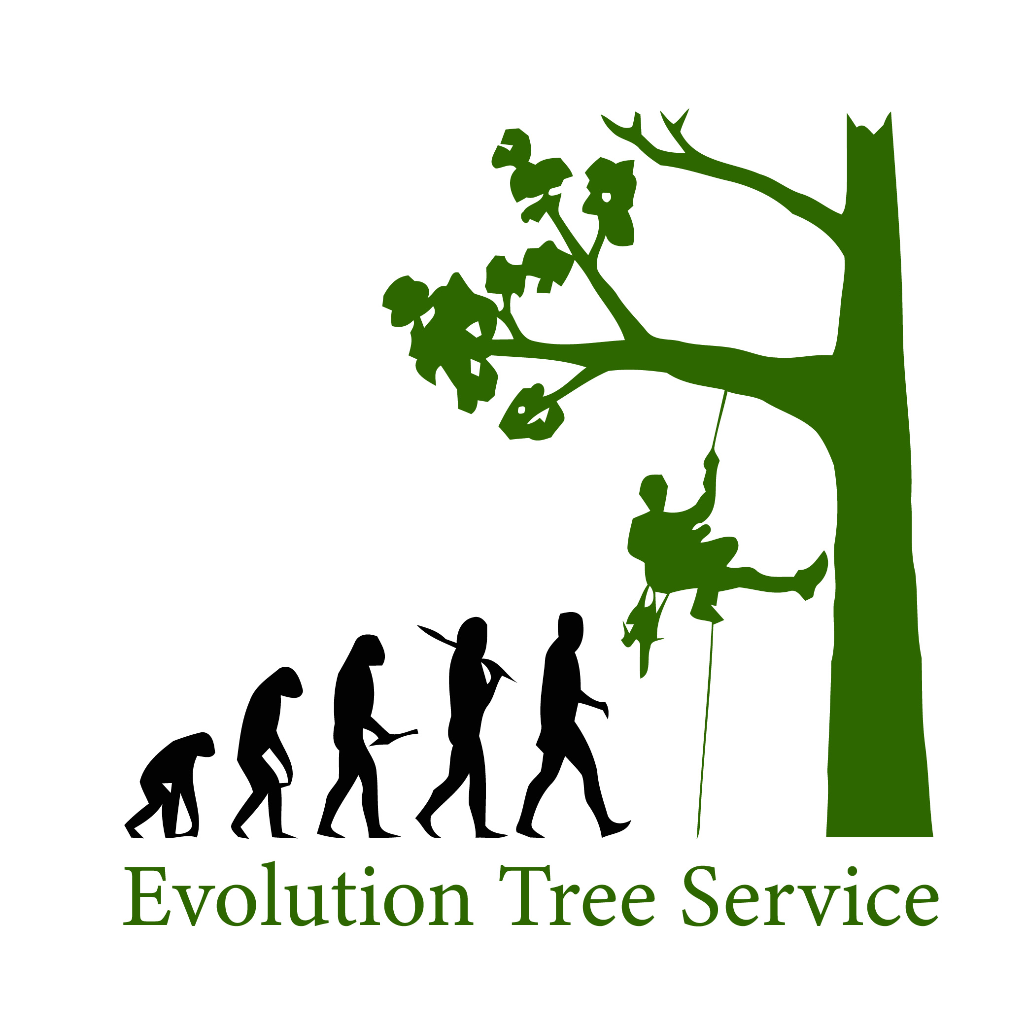Evolution tree service